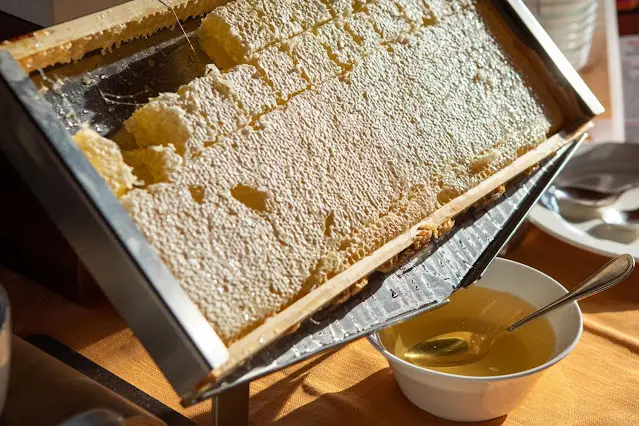 Je zult versteld staan van de voordelen van elke dag een lepel honing!