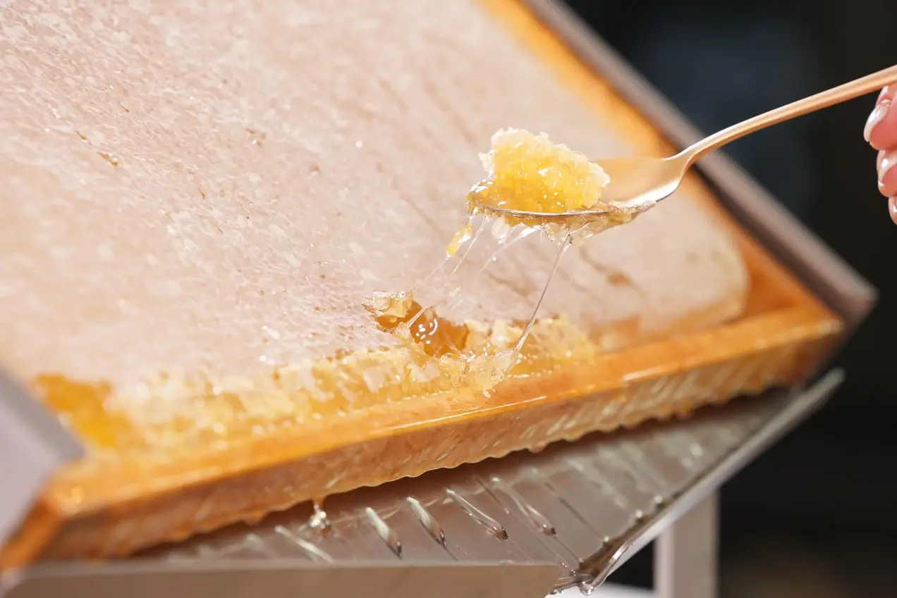 VitaLife Honingraat Display