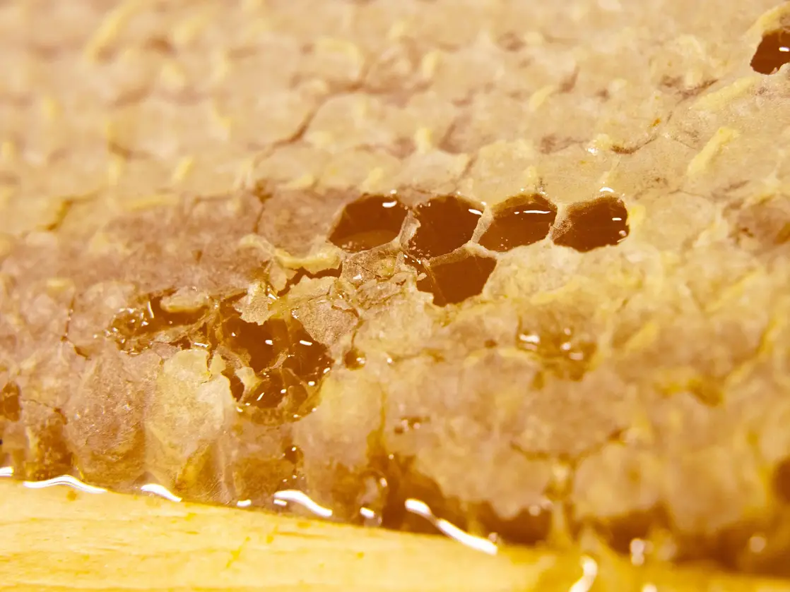 VitaLife Honingraat Close-up